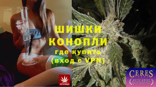 трава Сатка
