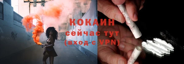 прущие грибы Сафоново