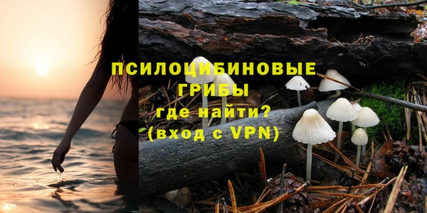 а пвп мука Верея