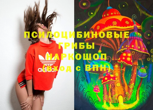 а пвп мука Верея