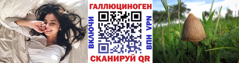 Псилоцибиновые грибы мицелий  Вязники 